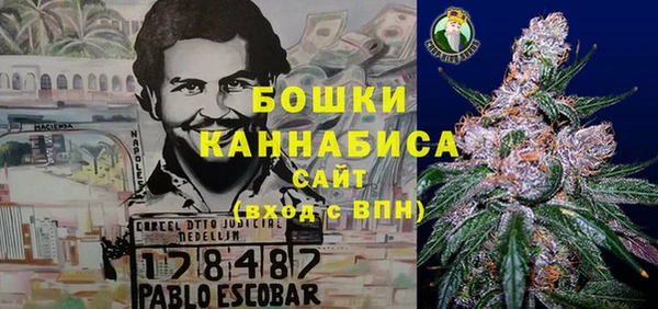 mdpv Каменка