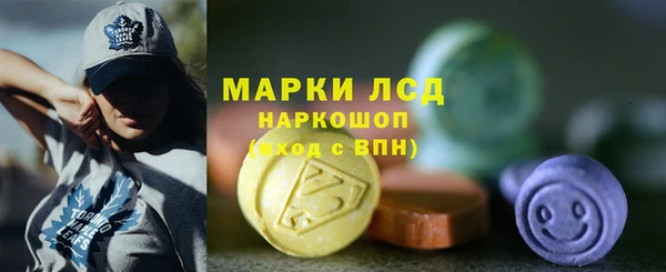 mdpv Каменка