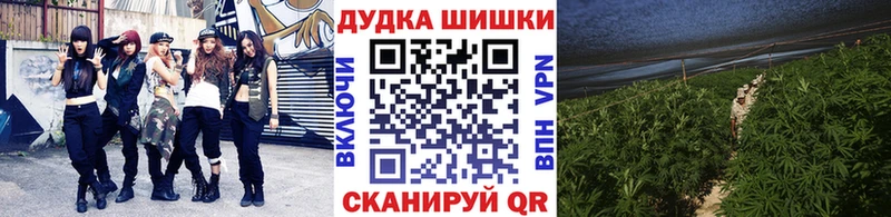 Бошки марихуана индика Мелеуз
